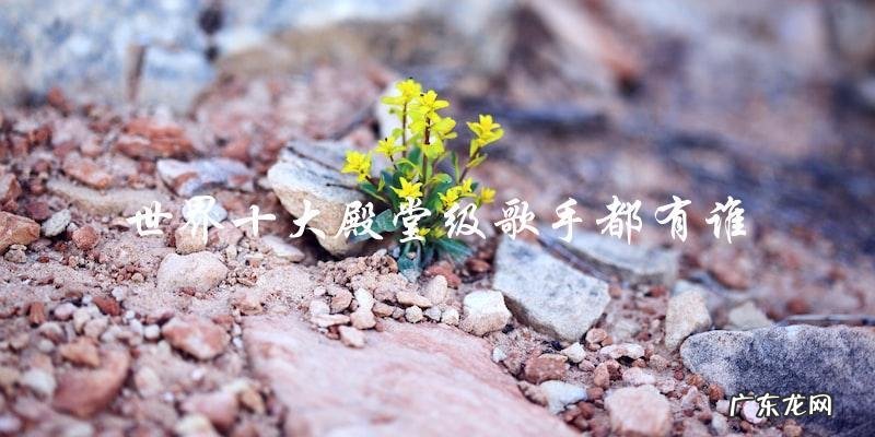 这十位殿堂级歌手都是谁?