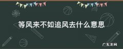 等风来,不如追风去的意思 等风来不如追风去什么意思