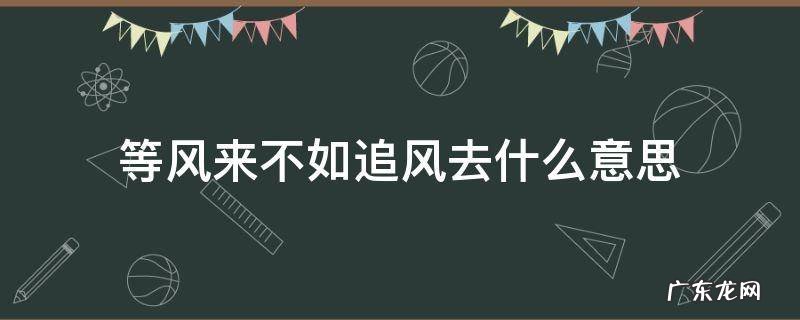 等风来,不如追风去的意思 等风来不如追风去什么意思