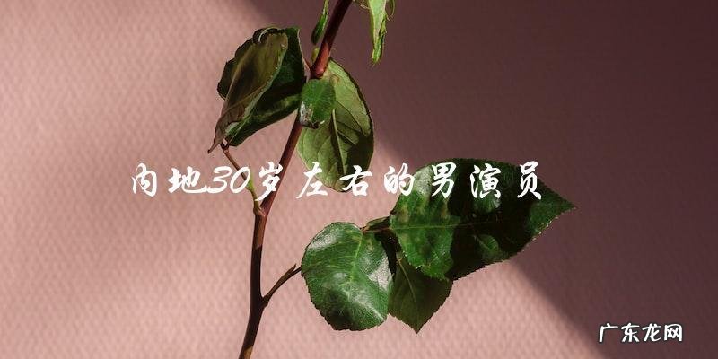 神秘男演员现身!内地30岁左右,身份成谜