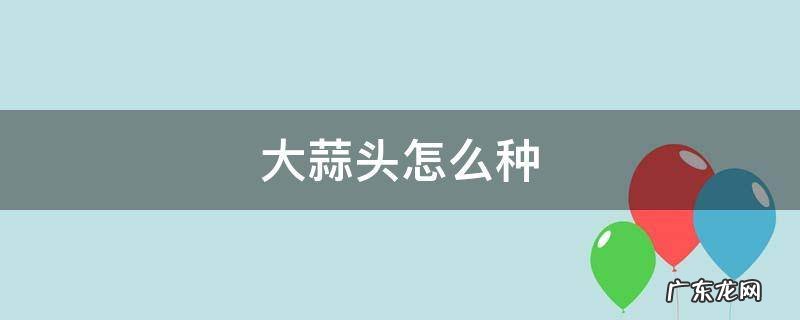 大蒜头怎么种植水培 大蒜头怎么种