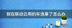 我在联动云用的车违章了怎么办 联动云违章还能用车吗