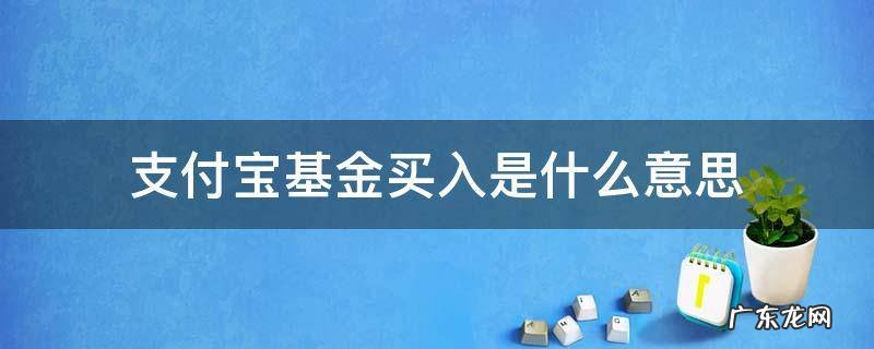 支付宝基金买入是什么意思 支付宝的基金买入是什么意思