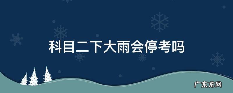 科目二下大雨会停考吗 科目二下雨会停考么
