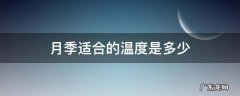 月季适合的温度是多少 月季的适宜温度是多少