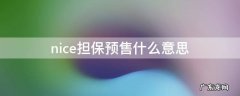 nice担保预售是好还是坏啊 nice担保预售什么意思