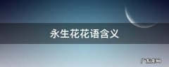 永生花花语含义 永生花花语是什么意思