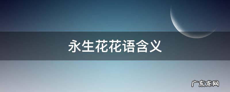永生花花语含义 永生花花语是什么意思