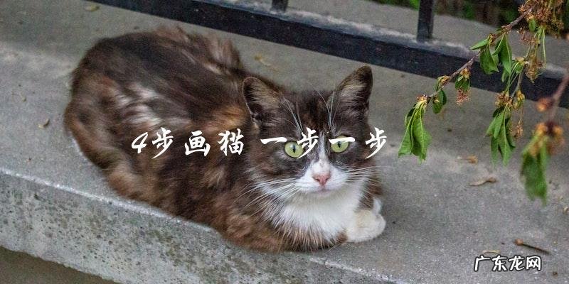 如何用4步画猫?一步一步教你!