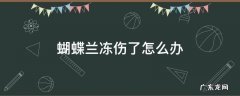 蝴蝶兰冻伤了怎么办 蝴蝶兰冻伤了怎样补救呢