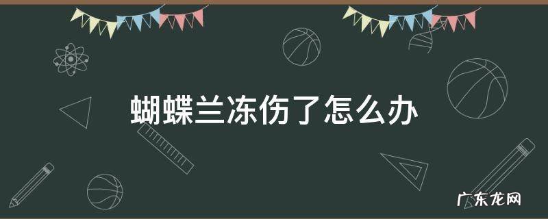 蝴蝶兰冻伤了怎么办 蝴蝶兰冻伤了怎样补救呢