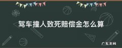 驾车撞人致死赔偿金怎么算 驾车撞人致死要赔偿多少钱