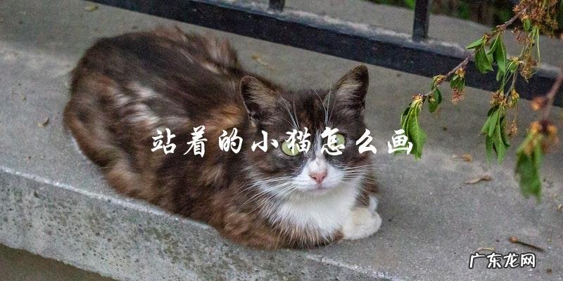 如何画一只站立的小猫?