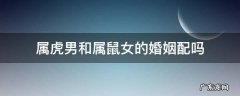 属虎男和属鼠女的婚姻配吗 属鼠女与属虎男婚姻相配吗