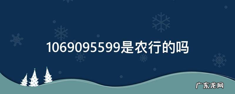 1069095599是农行的吗 1069095599是农行的吗说我贷款了