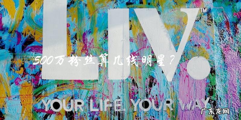 500万粉丝，她到底是几线明星？