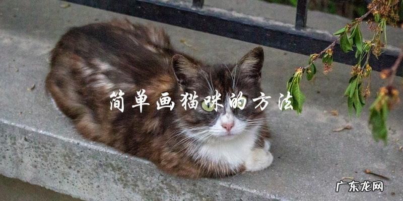 如何用简单的步骤画出可爱的猫咪？