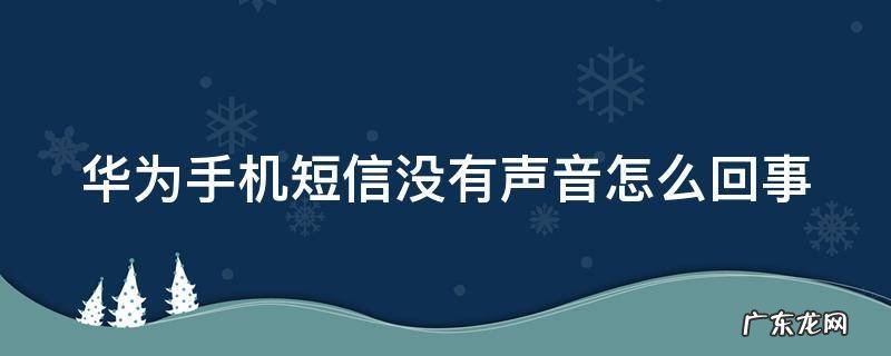 华为手机短信没有声音怎么回事 如何恢复短信提示音