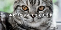 如何画出又可爱又简单的小奶猫？