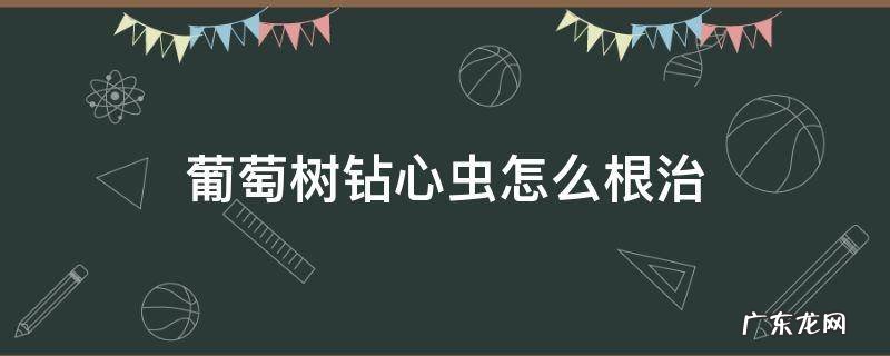 葡萄树钻心虫怎么根治 葡萄树长钻心虫要用什么药