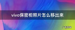 vivo手机把照片移入了保密柜该怎么看 vivo保密柜照片怎么移出来
