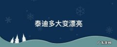 泰迪多大变漂亮 泰迪几个月才会变好看