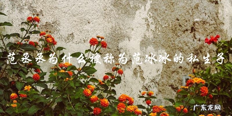 范丞丞为什么被称为范冰冰的私生子?真相竟然是……