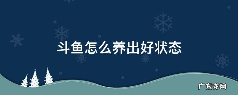 养斗鱼经验 斗鱼怎么养出好状态