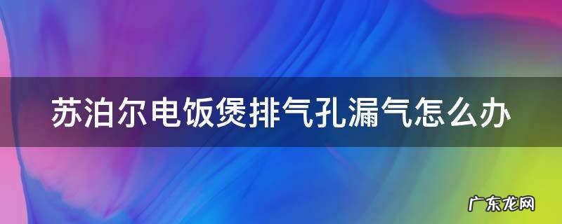 苏泊尔电饭煲排气孔漏气怎么办啊 苏泊尔电饭煲排气孔漏气怎么办