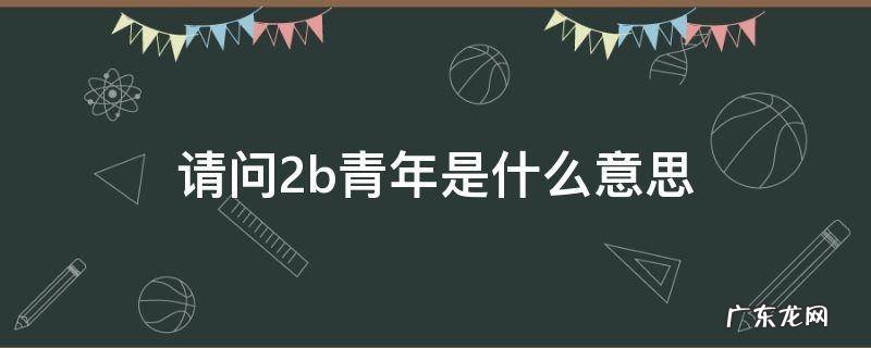 请问2b青年是什么意思 形容2b青年