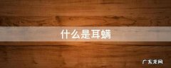 什么是耳螨 什么是耳螨泰迪狗