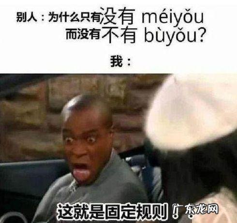 只因是什么梗?这个视频笑到喷饭,看完还想看!