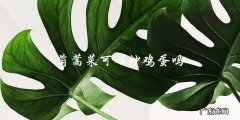 茼蒿菜可以和鸡蛋一起炒！