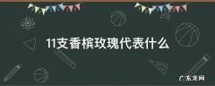 11支香槟玫瑰代表什么 11支香槟色玫瑰花代表什么意义