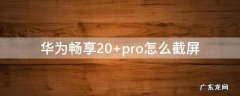 华为畅享20 华为畅享20pro