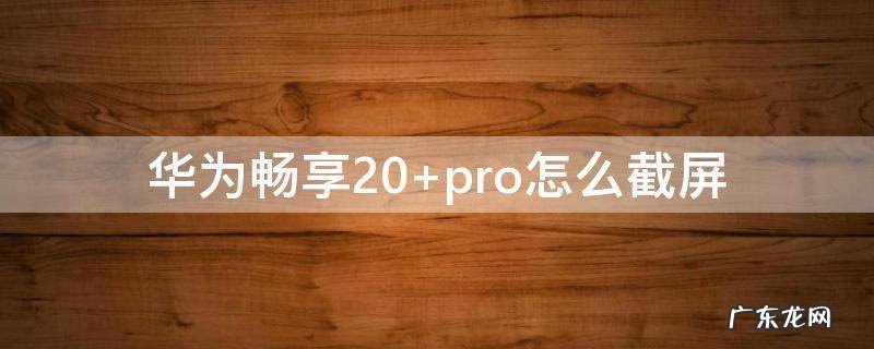 华为畅享20 华为畅享20pro