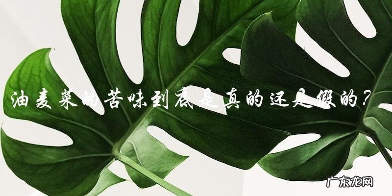 油麦菜的苦味到底是真的还是假的?