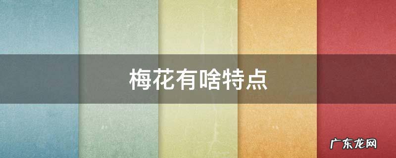 梅花有啥特点 梅花有啥特点社会中谁是梅花