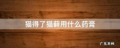 人得了猫癣用的药膏 猫得了猫藓用什么药膏