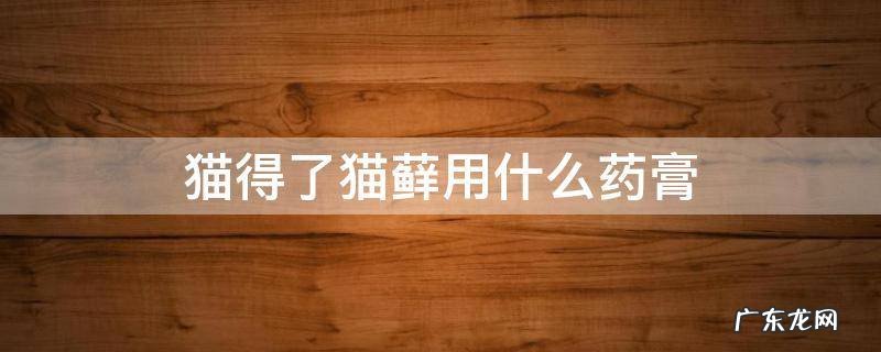 人得了猫癣用的药膏 猫得了猫藓用什么药膏