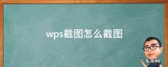 wps截图怎么截图 wps截图怎么截图最长