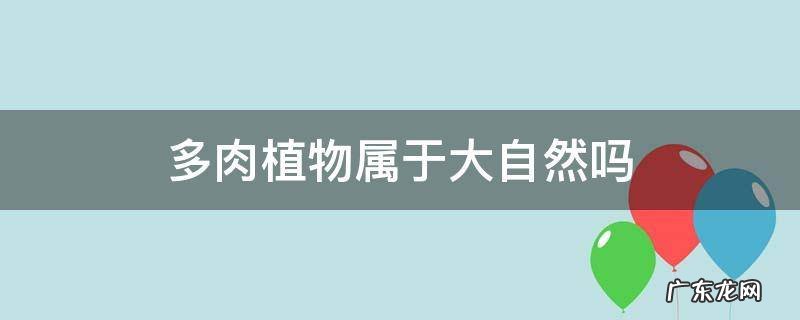 多肉植物属于大自然吗 多肉是常绿植物吗
