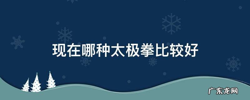现在哪种太极拳比较好 最厉害的太极拳是哪种