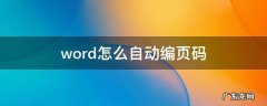 word怎么自动编页码成第一页共几页 word怎么自动编页码