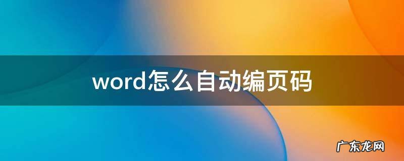 word怎么自动编页码成第一页共几页 word怎么自动编页码
