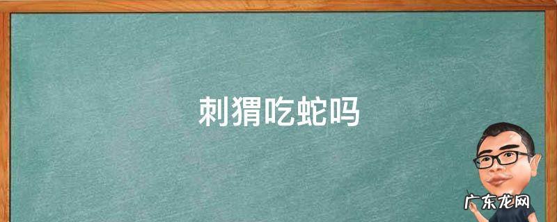 野生刺猬吃蛇吗 刺猬吃蛇吗