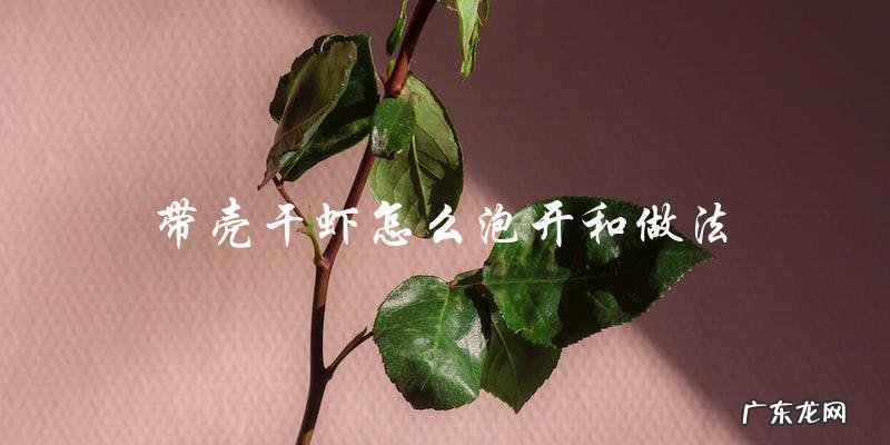 如何泡开带壳干虾并制作美味佳肴？