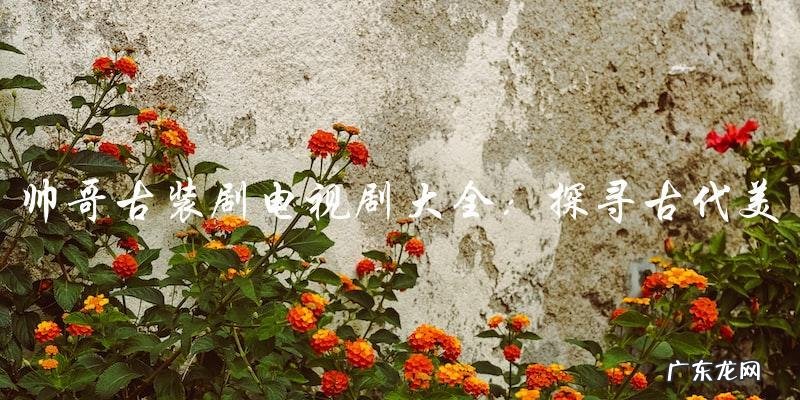 帅哥古装剧电视剧大全：探寻古代美男子的神秘面纱！