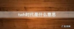 twenty是什么意思中文 twh时代是什么意思