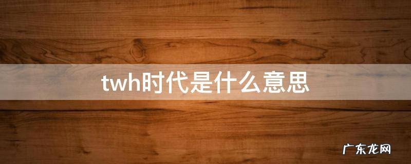 twenty是什么意思中文 twh时代是什么意思
